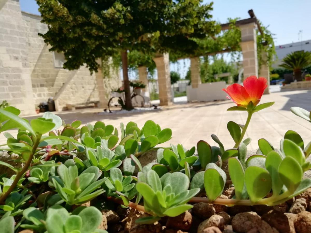 مبيت وإفطار أودجانو لا كييزا Il Giardino Del Tiglio المظهر الخارجي الصورة