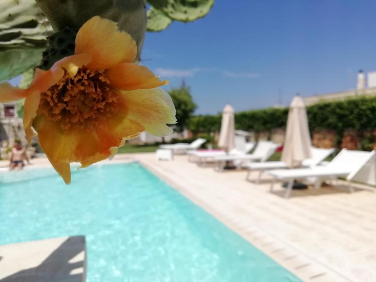 مبيت وإفطار أودجانو لا كييزا Il Giardino Del Tiglio المظهر الخارجي الصورة