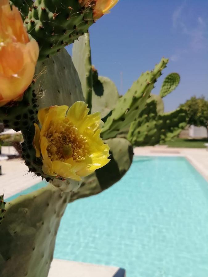مبيت وإفطار أودجانو لا كييزا Il Giardino Del Tiglio المظهر الخارجي الصورة